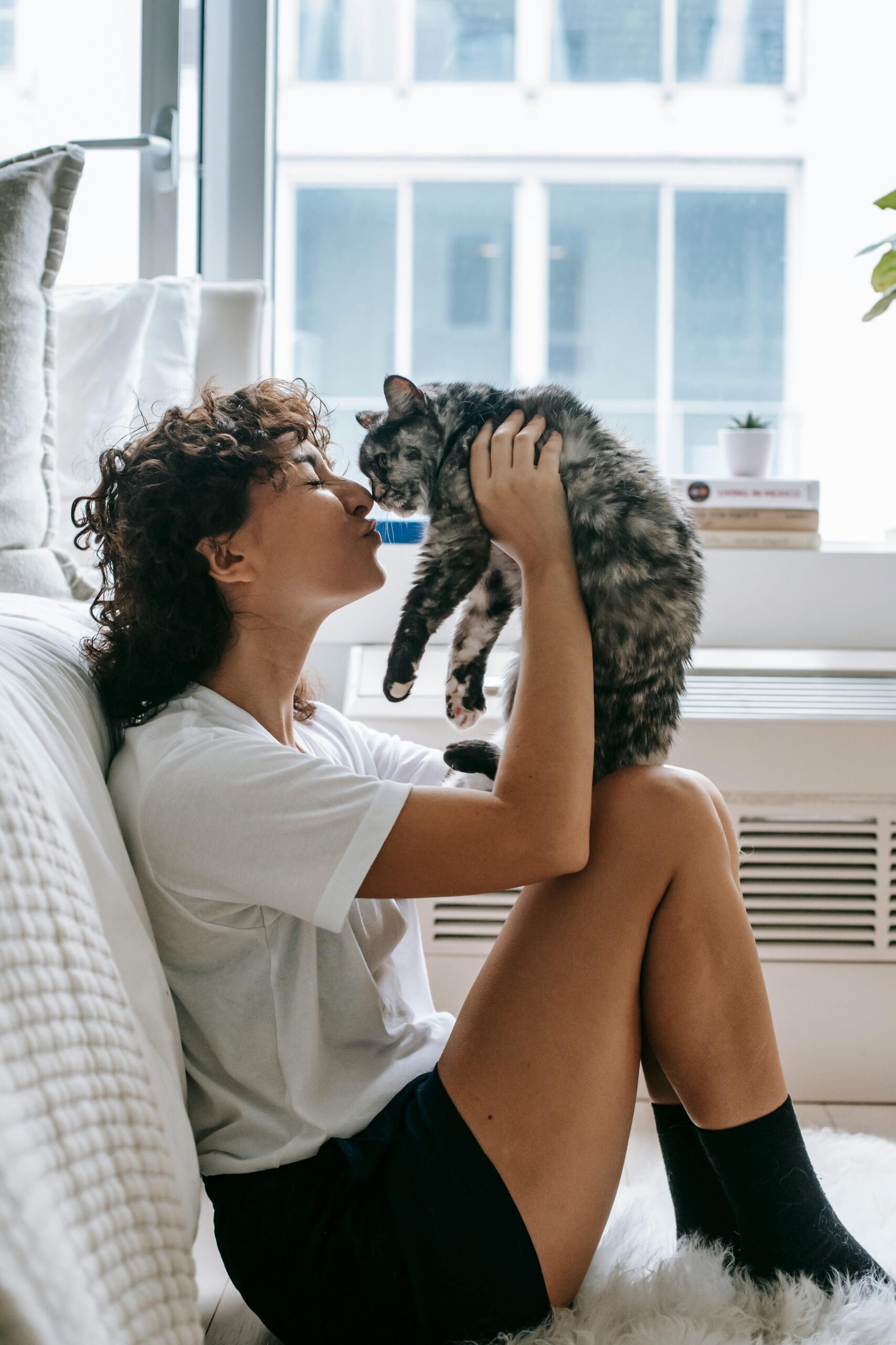 How to Comfort Your Cat When Scared: A New Guide to Easing Feline Anxiety