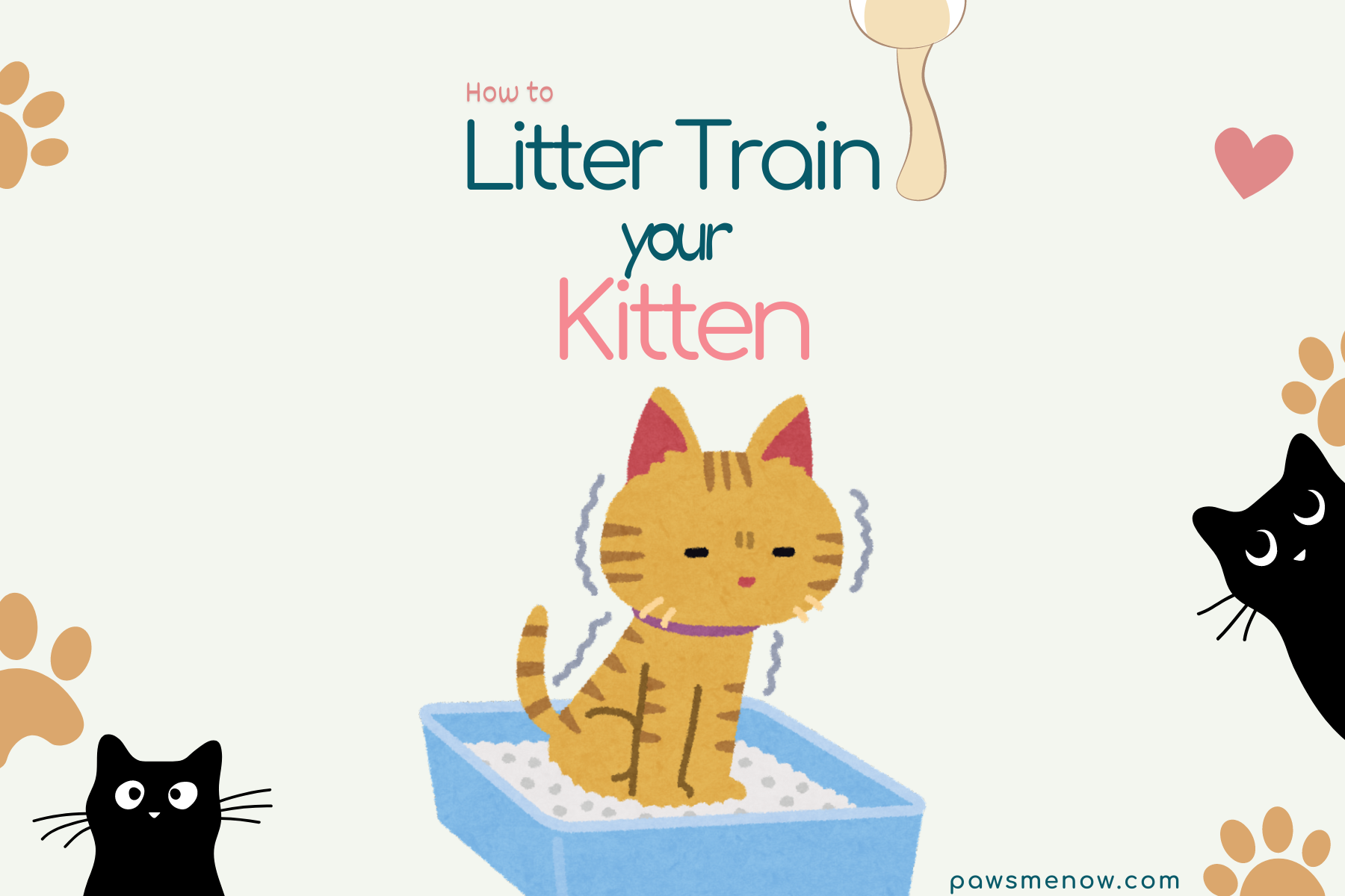 how to litter train a kitten