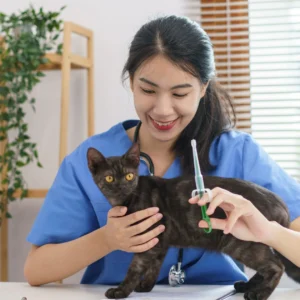 The Essential Cat Vaccination Schedule for 2024