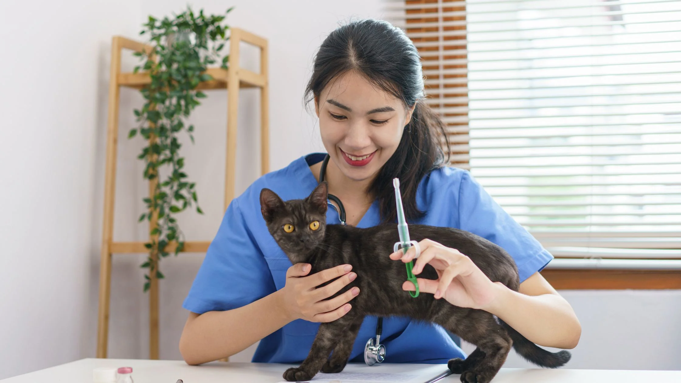 The Essential Cat Vaccination Schedule for 2024