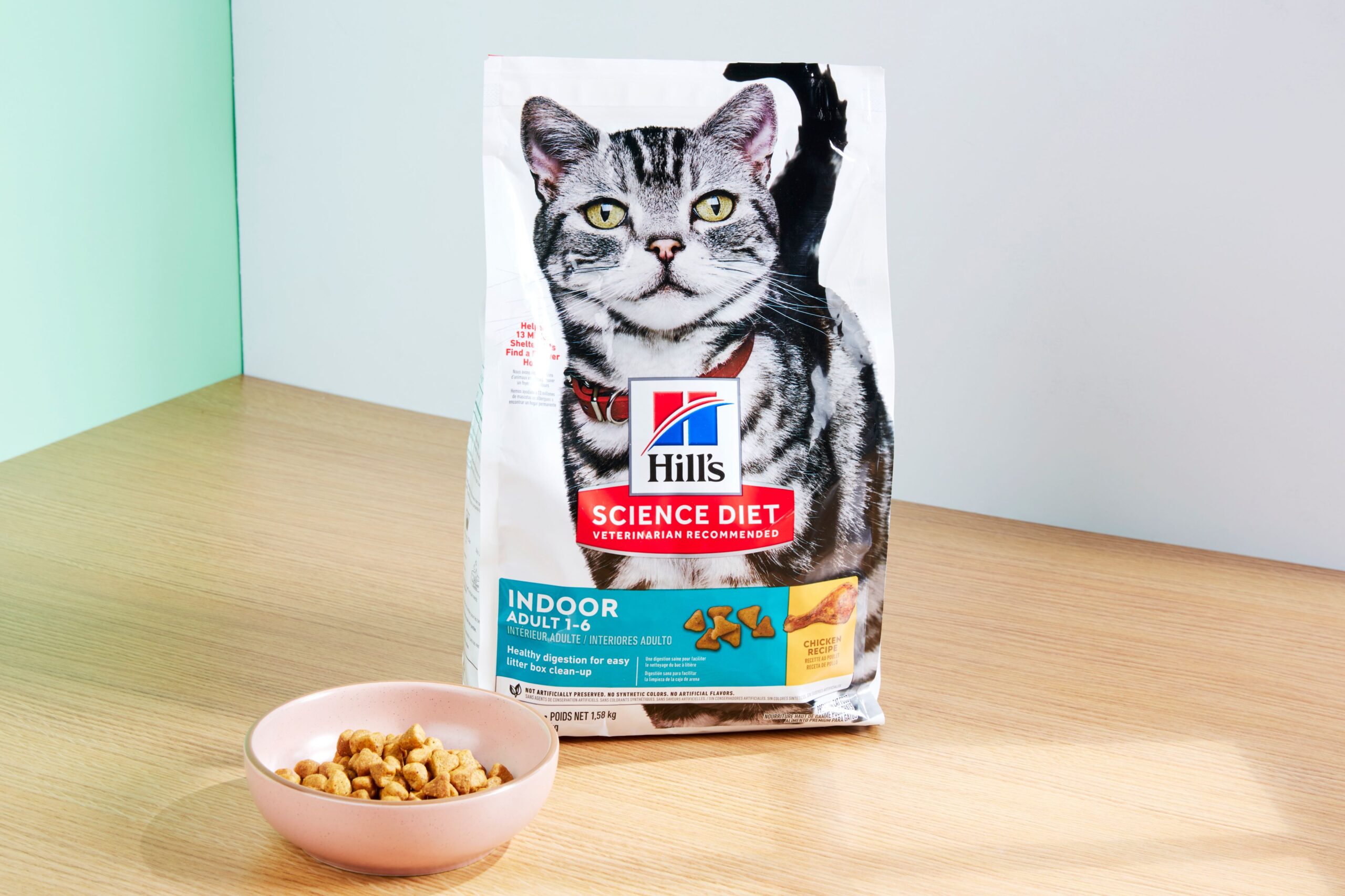 Best Cat Diets for Encouraging Urinary Health in 2024