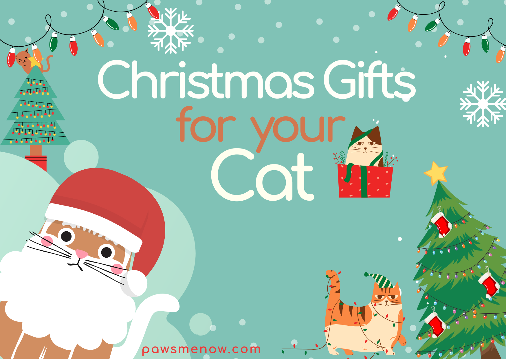 Best Christmas Gifts for your cat 2024