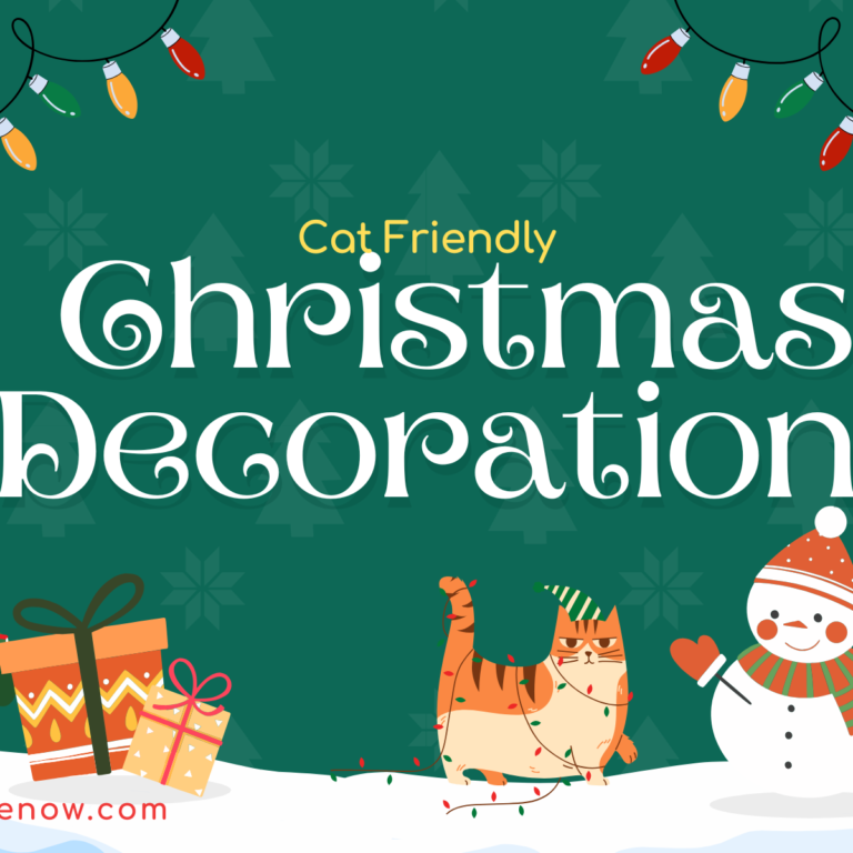 Cat friendly decoration for Christmas